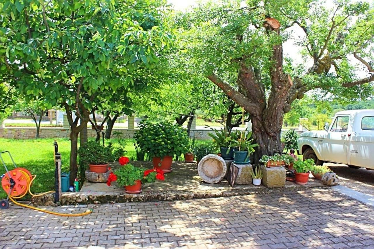 Ferienwohnung Palmira Poreč Exterior foto